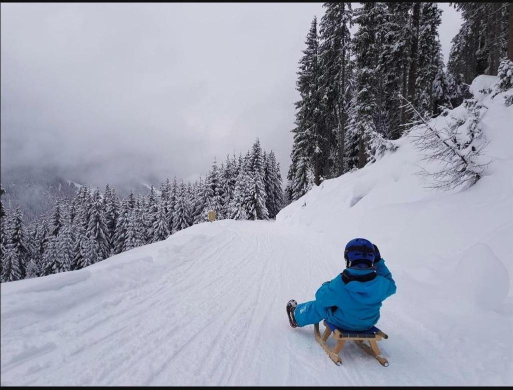 Lieblingsplatz - Ski In Und Ski Out سي المظهر الخارجي الصورة
